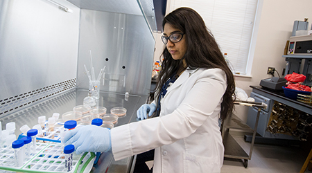 A woman organizes test tubes in a lab.