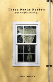 Issue 2 cover: Photo of a yellow building with a closed window, curtains visible from outside.