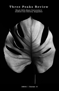 Issue 3 cover featuring a black and white image of a monstera leaf.