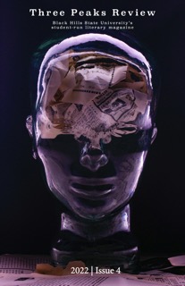 Issue 4 cover: Transparent face without features, revealing crumpled newspaper where the brain would be.