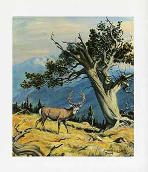 Painting of a mule deer standing to the left with a tree to the right.