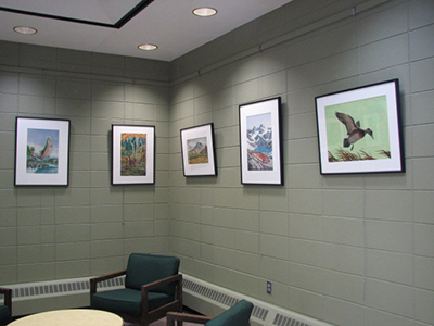 Five Lyndle Dunn wildlife portraits on a grey wall.