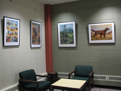 Four Lyndle Dunn wildlife portraits on a grey wall.