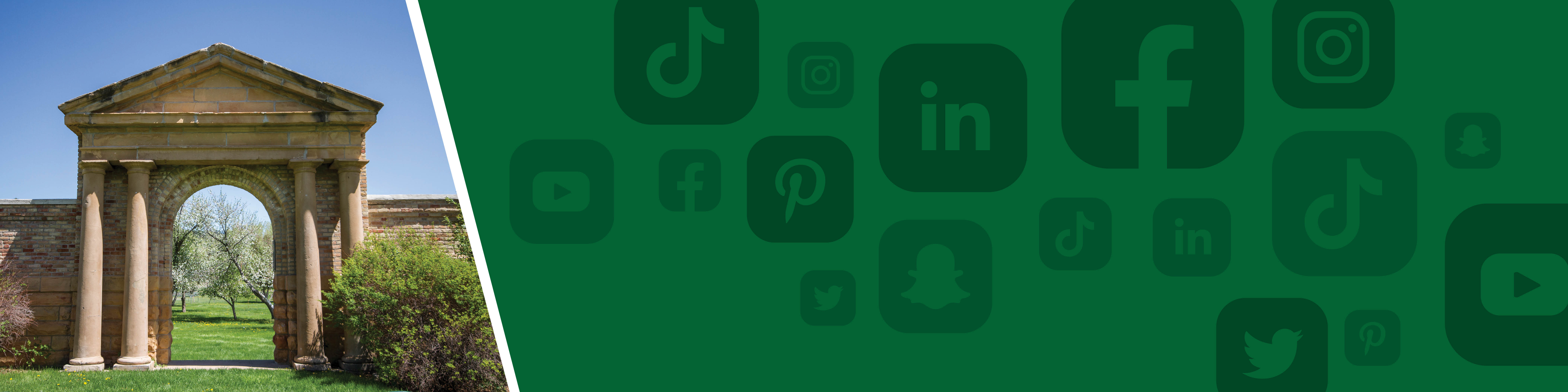 Social Media icons on green background