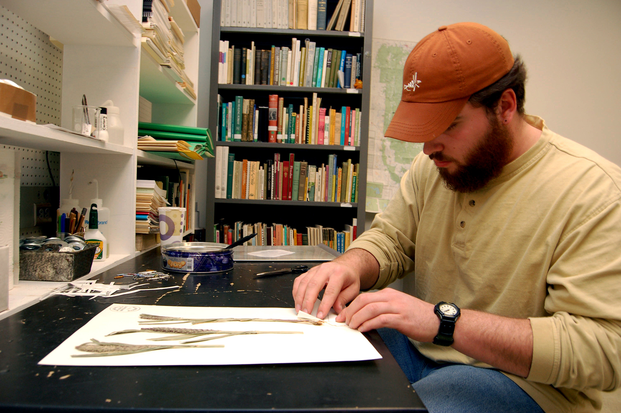 A man presses plants in the herbarium.