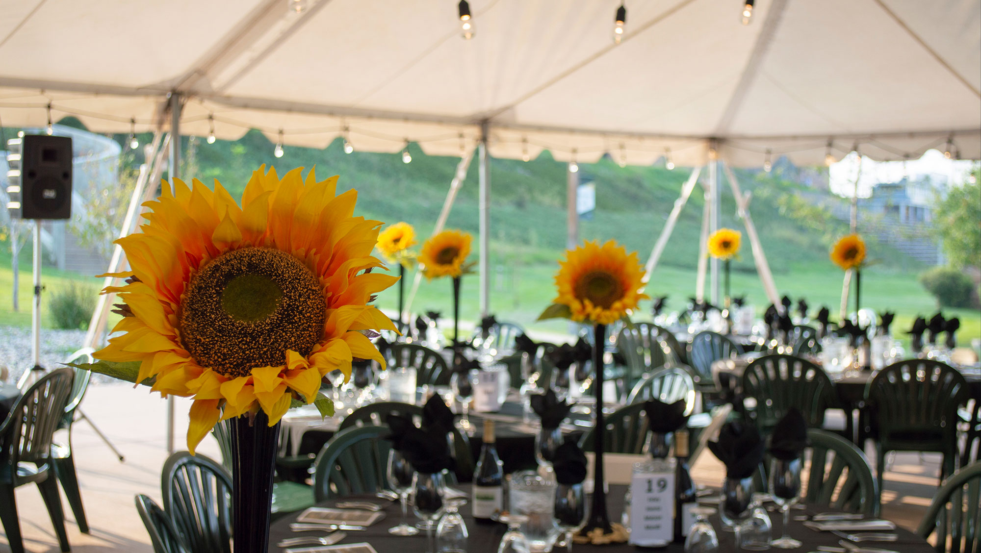 Sunflower centerpiece on tables outside at BHSU