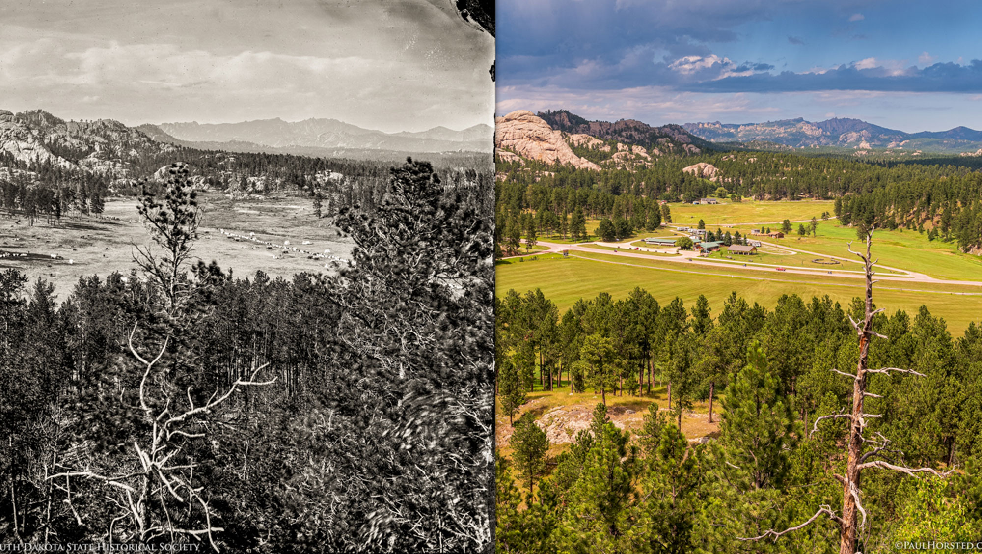 This image shows a split-view of the same landscape of Custer across two different eras, with the left side depicting a historical black-and-white scene of sparse vegetation and scattered trees, and the right side showing a modern, vibrant colored scene of the same landscape with lush greenery and refined development.