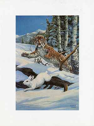 Painting of a bob cat about to land on a rabbit in the snow.