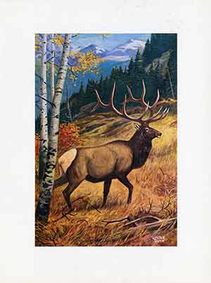 Painting of an elk.