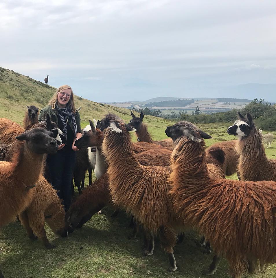 Kaitlin Palmer posing for a photo with alpacas.