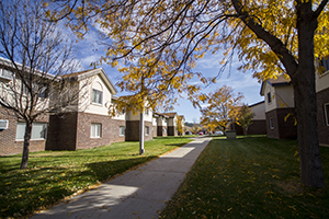 Campus apartments from the outside.